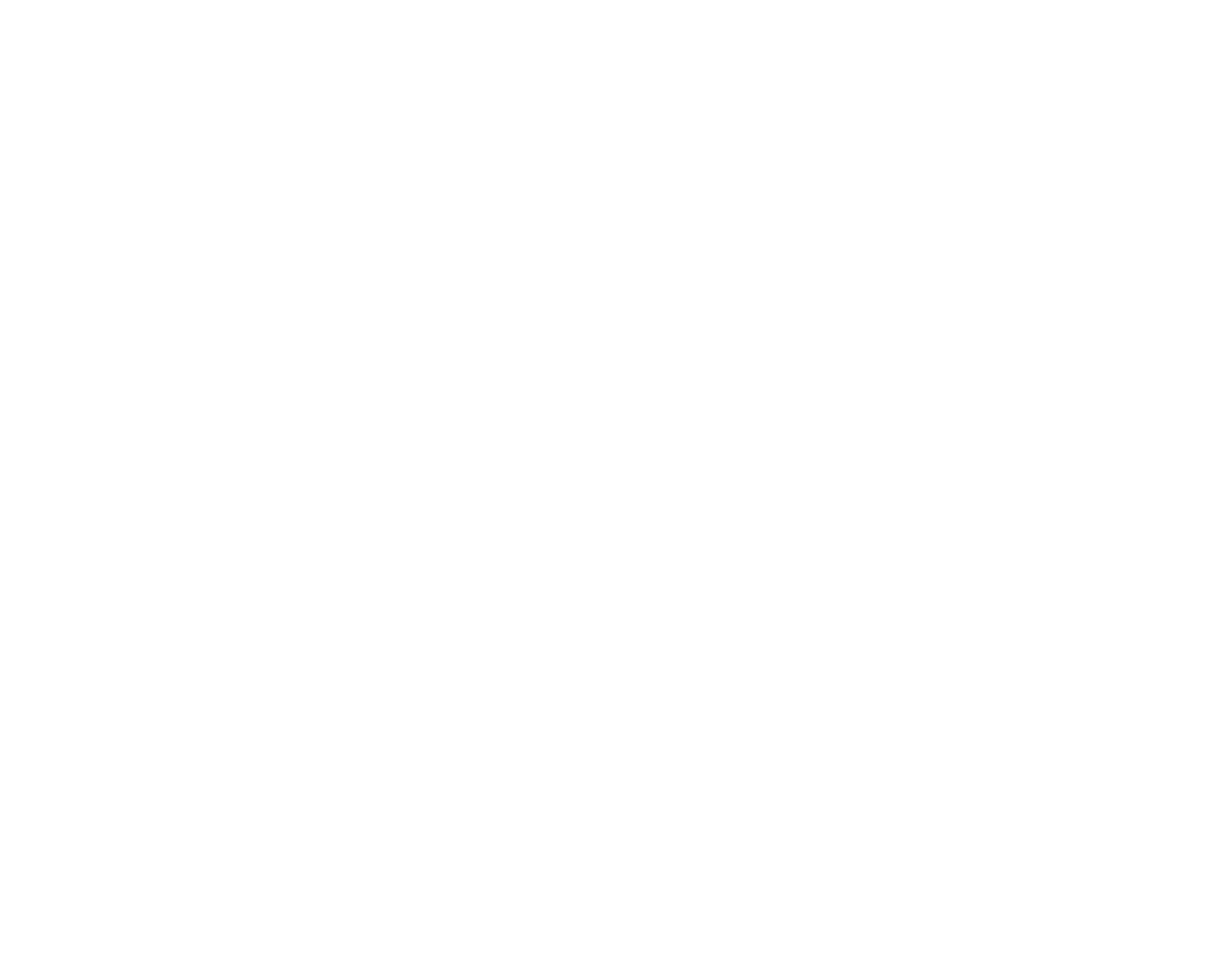Bela Plástica